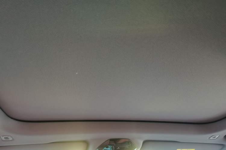 Used BMW 5 Series 2026 530Li Leading M Sport Package Headliner