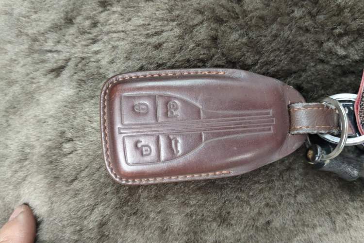 Used Hongqi HS5 2019 2.0T Smart Connect Flagship All-Wheel-Drive Version