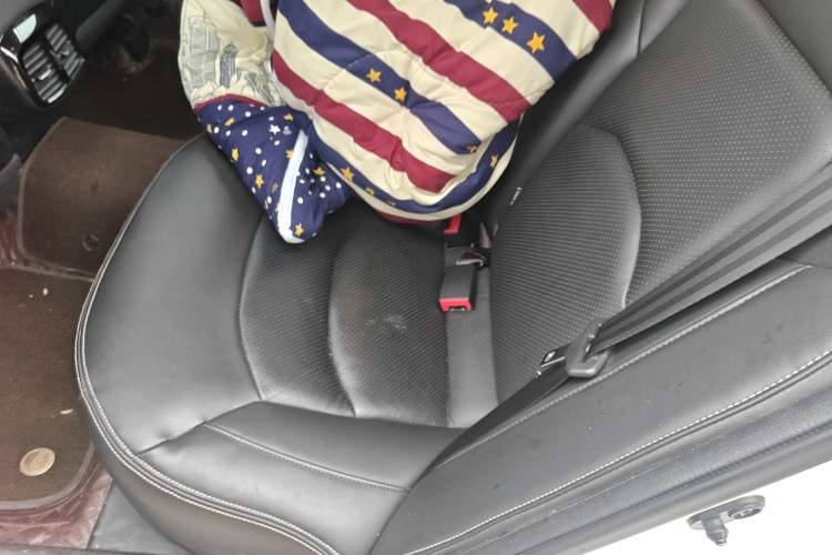 Used GAC Trumpchi GA6 2016 235T DCT Luxury Edition Left Rear Seat