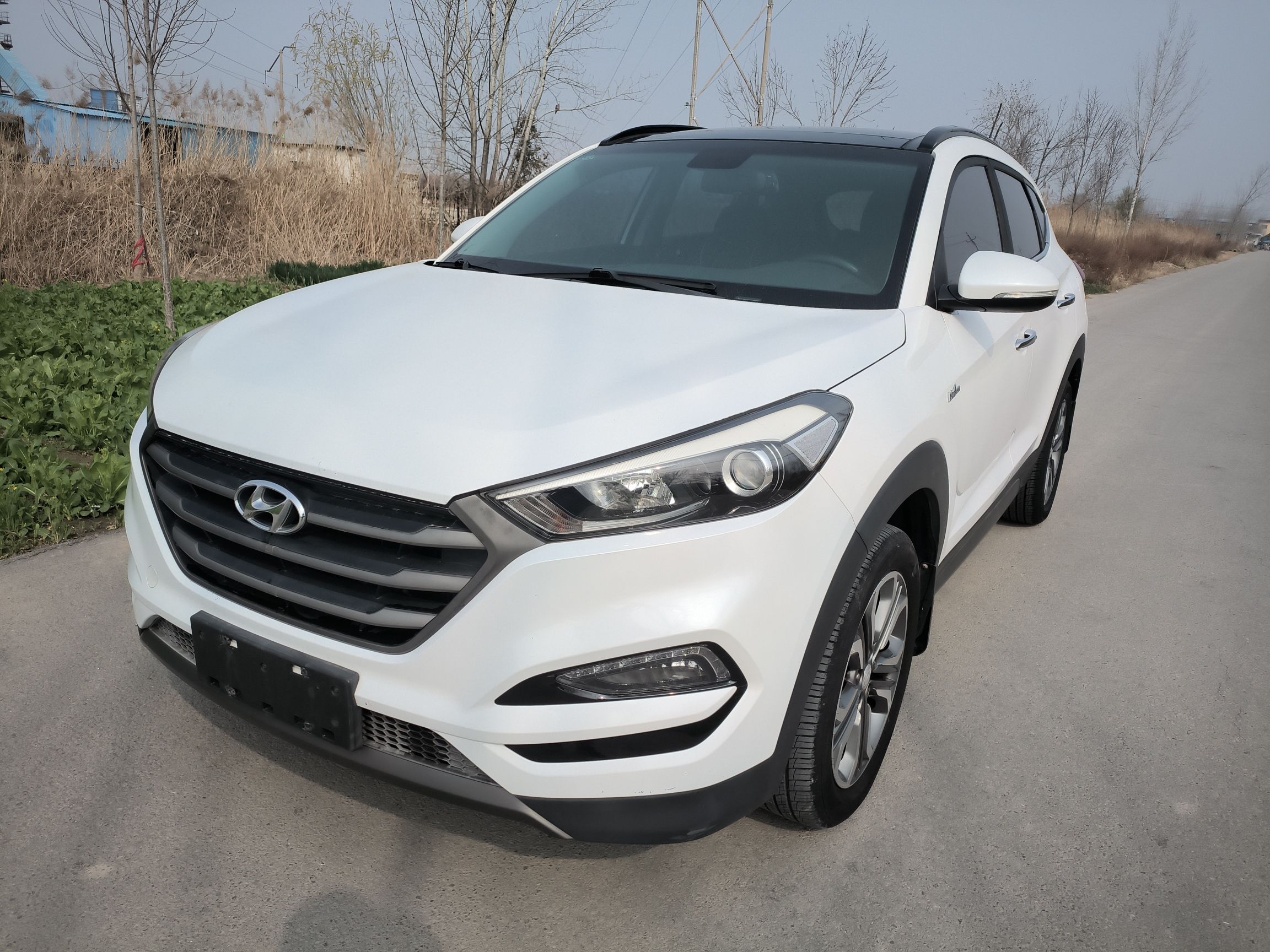 Parte inferior delantera