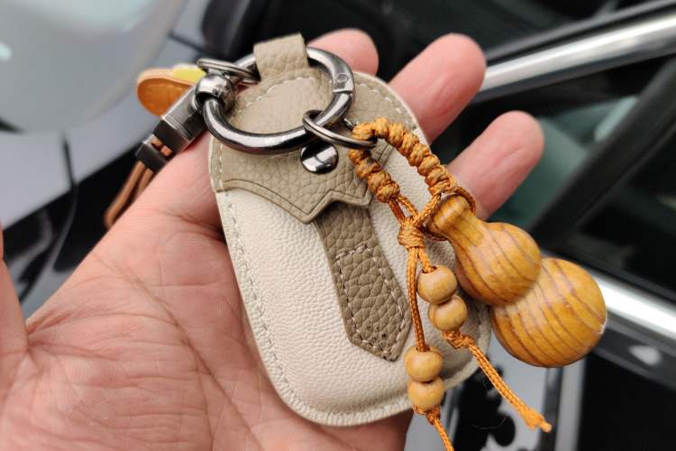 Used Volkswagen Magotan 2020 330TSI DSG Leading Model