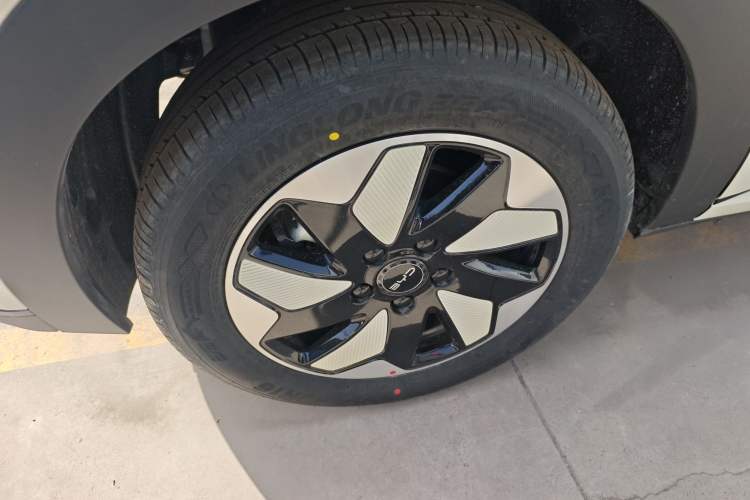 Used BYD Dolphin 2025 420km Free Edition Right Rear Wheel Hub