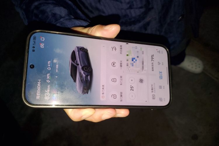 Used BYD Seal 06 New Energy 2024 DM-i 80KM Prestige Model Vehicle Key