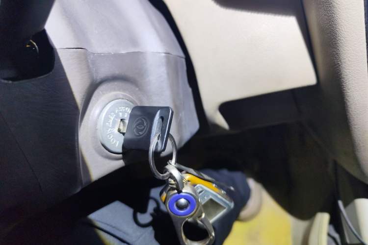 Used Dongfeng Ruichi 2010 3.0T Diesel Two-Wheel Drive Standard Version ZD30D13-3N