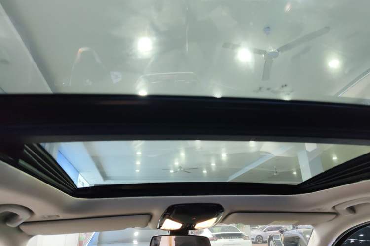 Used BMW 3 Series 2020 325Li First Edition Headliner