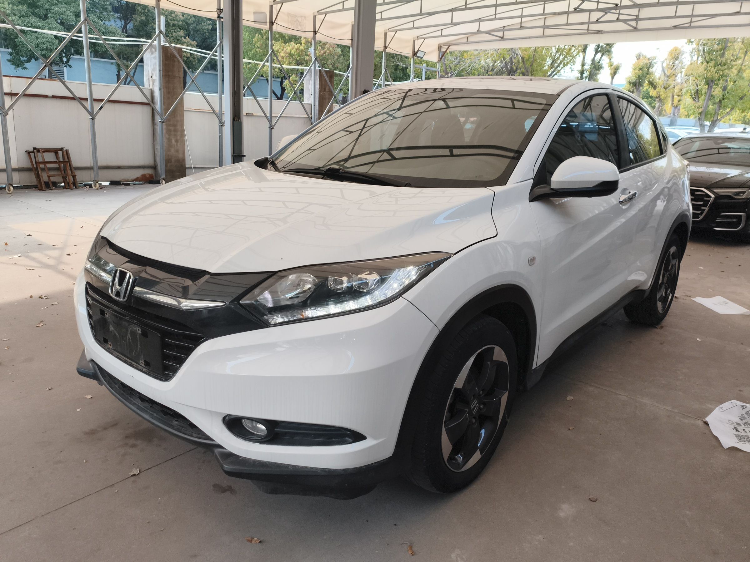 Parte inferior delantera