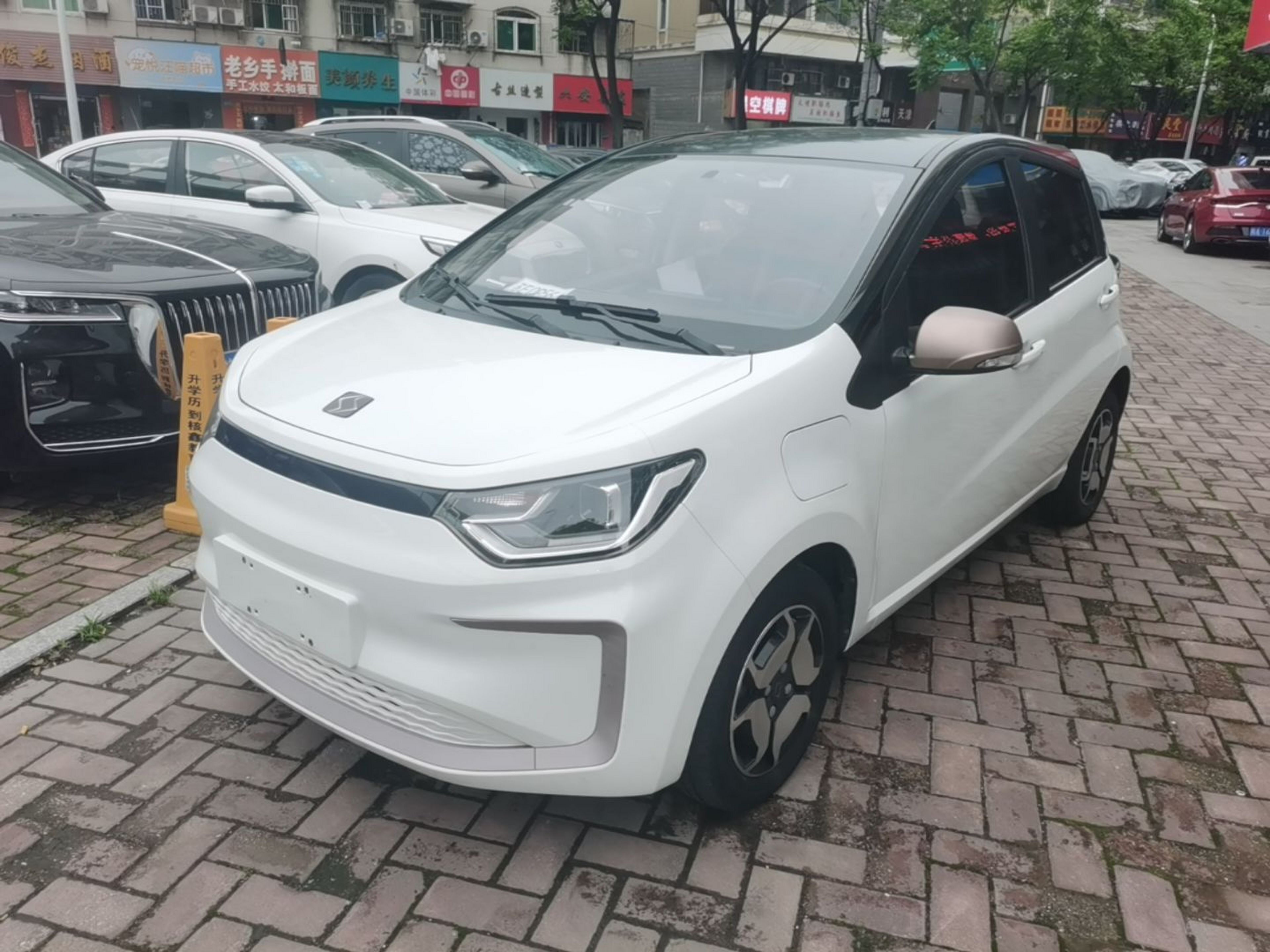 Under Front Bumper
