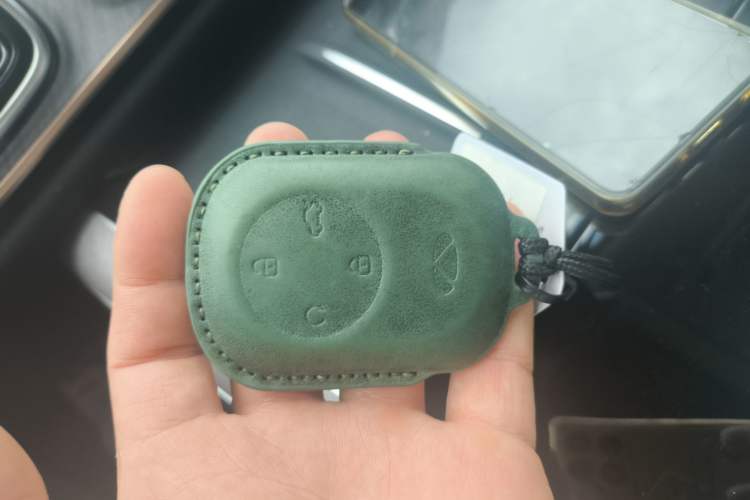 Used Chery Fengyun T10 2024 210 Luxury Edition