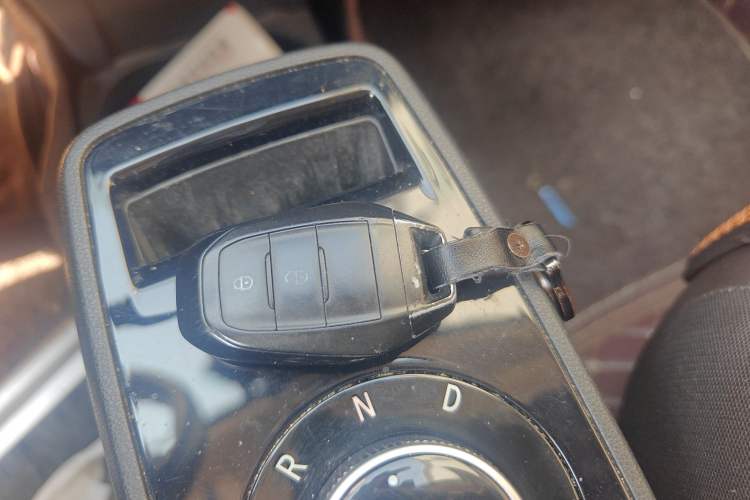 Used Electric House YOUNG Light XiaoXin 2021 L400 4-seater