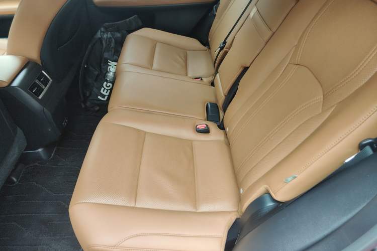 Used Lexus RX 2020 Facelifted 300 4x4 Elegant Edition Left Rear Seat