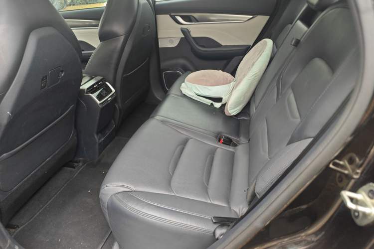 Used WM Motor EX5 2019 EX5 Mate Weymeng Edition 400 Left Rear Seat