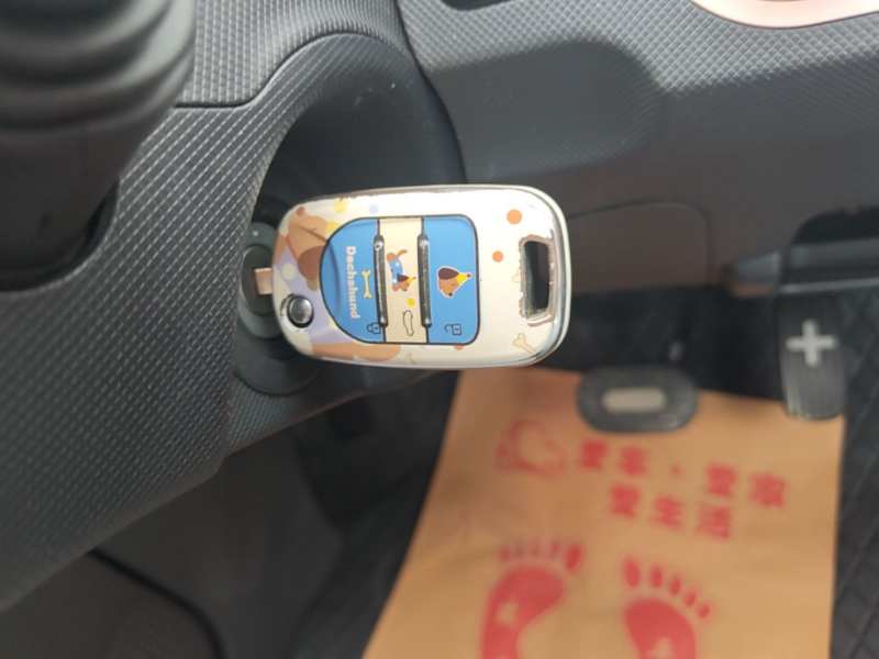 Used Wuling Hongguang MINIEV 2021 Macaron Fashion Model Lithium Iron Phosphate — 8