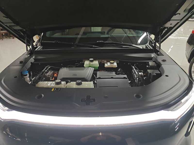 Used GAC Trumpchi Xiangwang S7 2025 205 km Max Version — 19