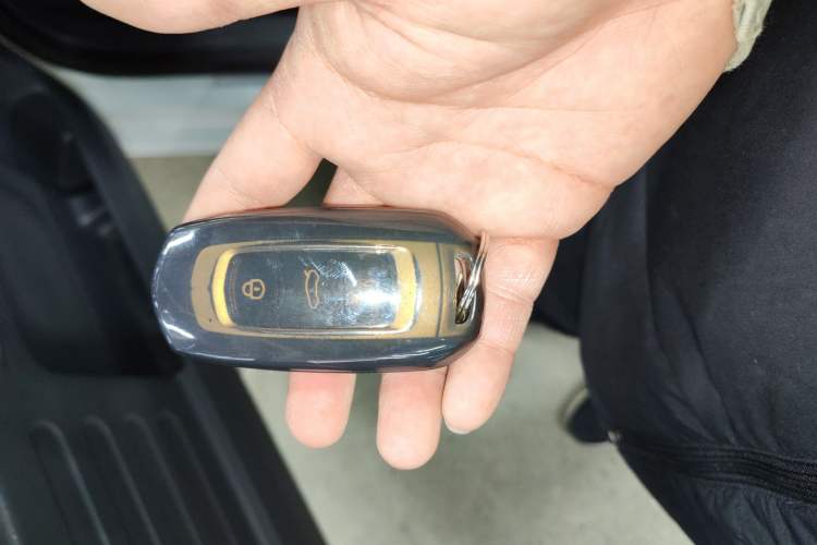 Used Geely Galaxy Panda 2024 Panda Mini 200km Endurance Bear