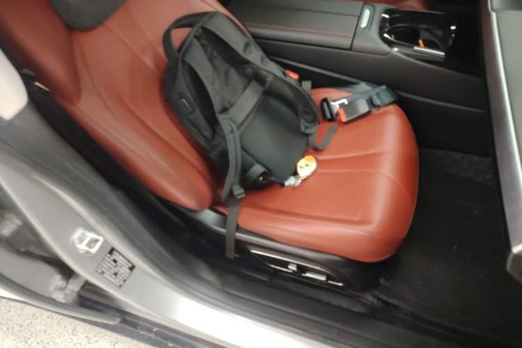 Used XPeng P7 2020 670N Right Front Seat