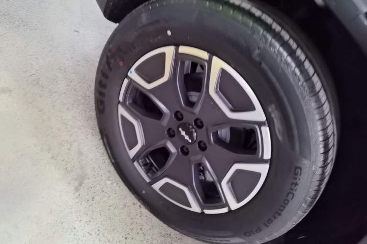 Used Formula Leopard Tai 7 2025 Model 200 km Two-Wheel Drive Max Edition
