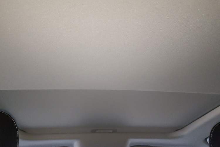 Used Tank 300 2021 Off-Road Edition 2.0T Conqueror Headliner