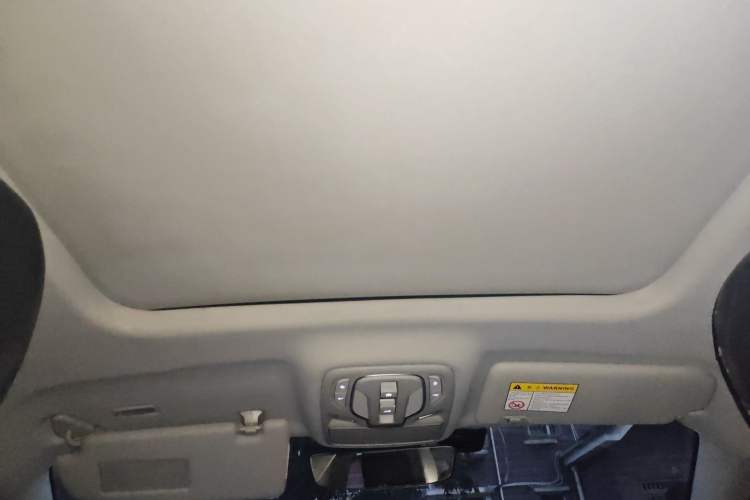 Used Roewe RX5 New Energy 2021 ePLUS National Trend Ronglin Luxury Edition Headliner