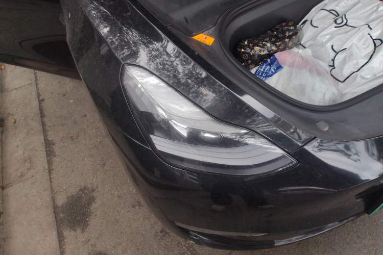 Used Tesla Model Y 2021 Standard Range Rear-Wheel Drive Version
