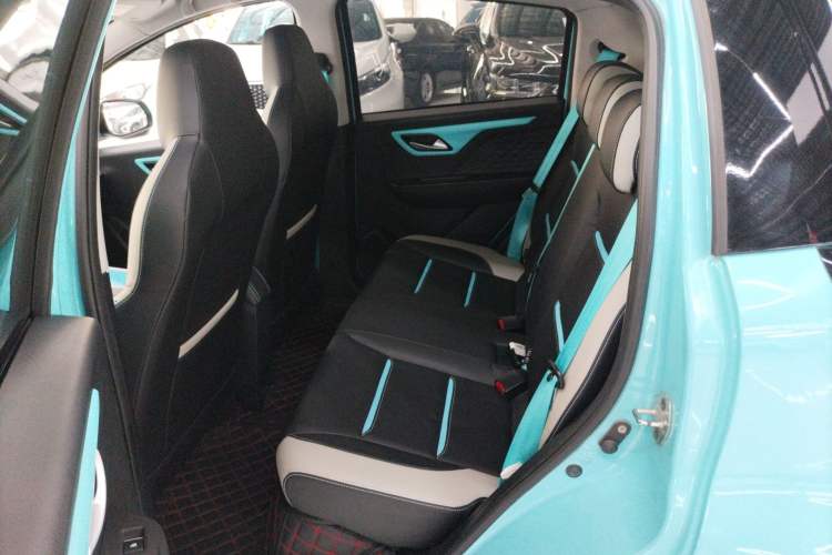 Used SOL E10X 2022 Flower Fairy Style Baby's Breath
