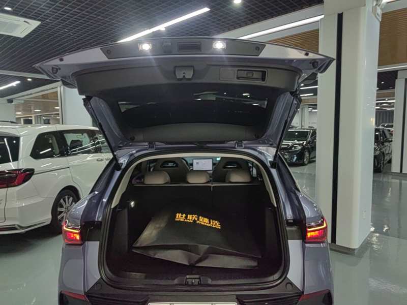 Used BYD Yuan PLUS 2023 Champion Edition 510KM Leading Model — 18