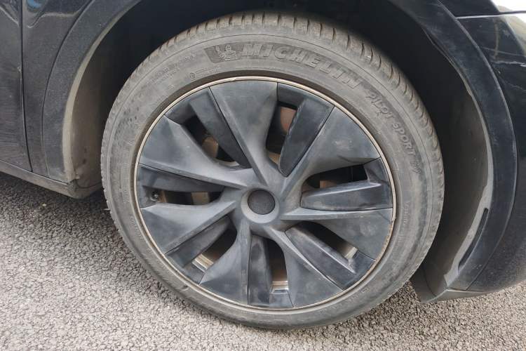 Used Tesla Model Y 2021 Standard Range Rear-Wheel Drive Version
