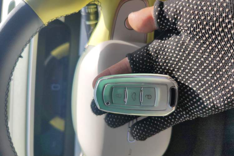 Used Geely Galaxy Panda 2025 210km Panda Rider