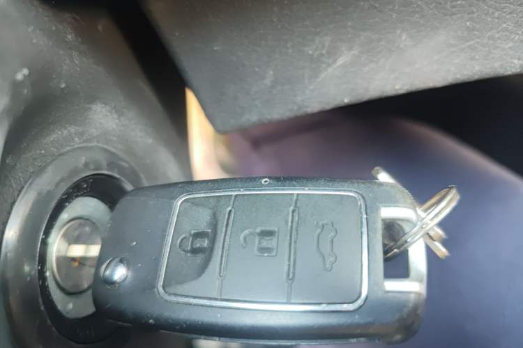 Used FORTHING Lingzhi 2020 M5 1.6L Luxury 7-Seater