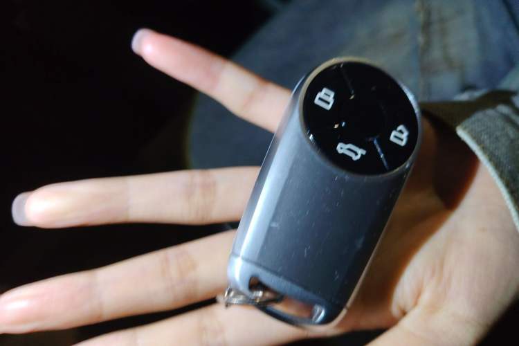 Used ORA Good Cat 2023 401 km Standard Range Premium Version Lithium Iron Phosphate Vehicle Key