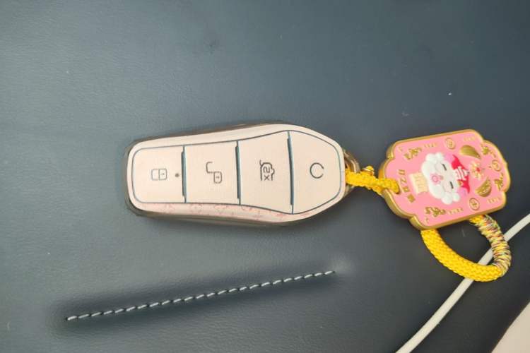 Used BYD Qin PLUS 2021 EV 500KM Premium Model
