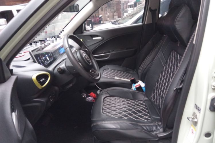 Used ORA White Cat 2020 305 km Luxury Version Left Front Seat