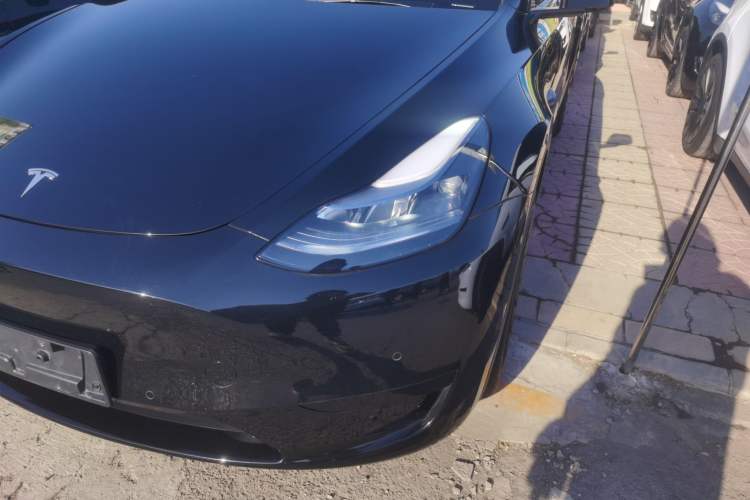 Used Tesla Model Y 2022 Revised Version Rear-Wheel Drive

