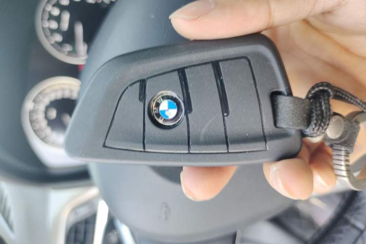 Used BMW X1 New Energy 2018 xDrive25Le Luxury Model