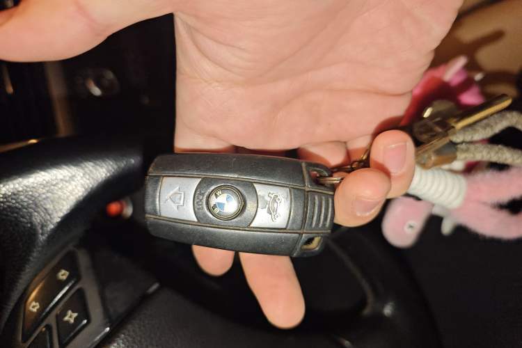 Used BMW 5 Series 2009 520Li Leading Model
