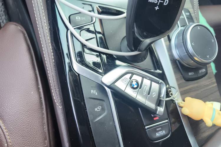 Used BMW 5 Series 2020 530Li Luxury Edition Premium Package