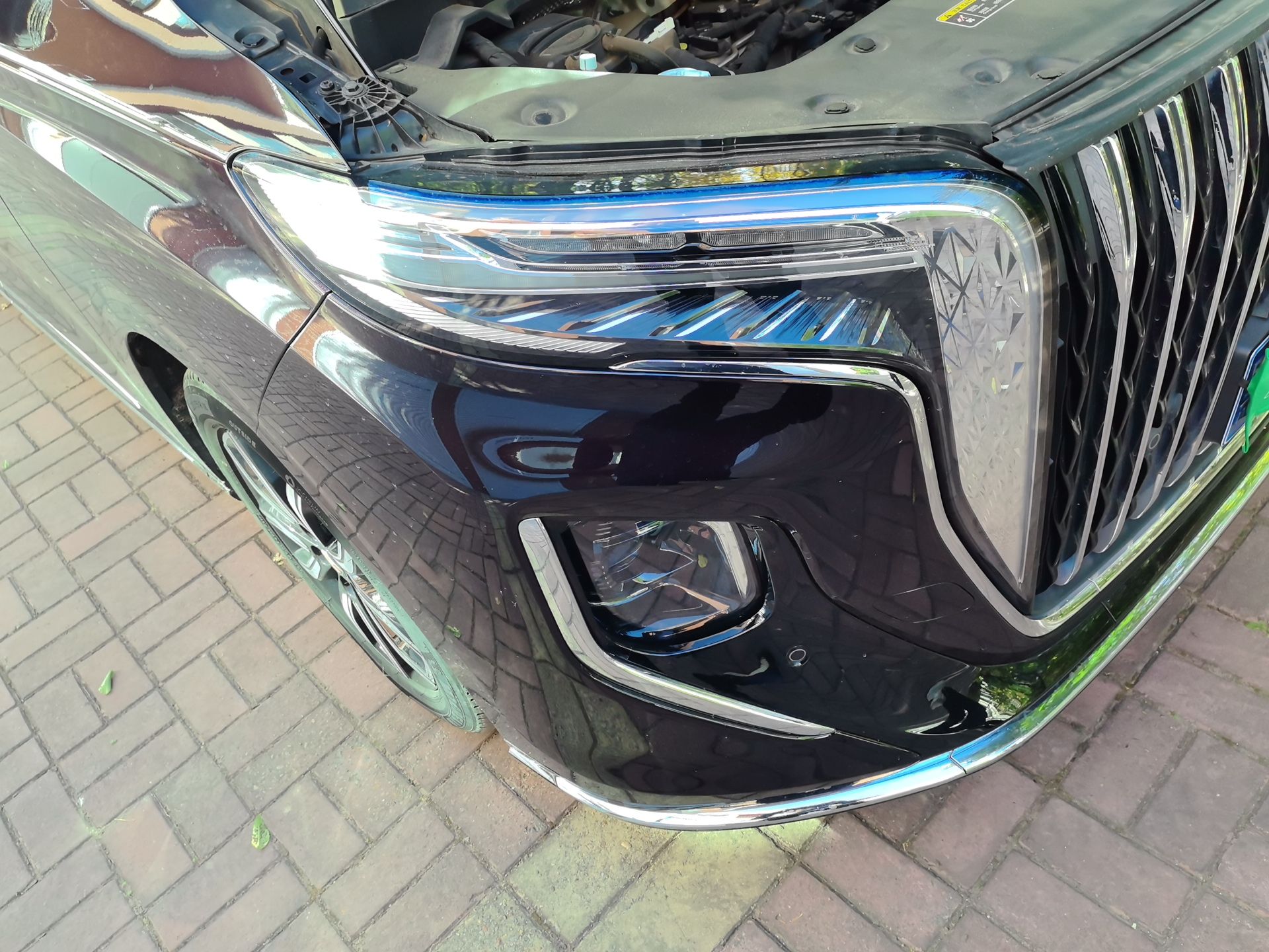 Hongqi HQ9 2023 2.0T Smart Connect Flagship Edition - Chinese Trim Xiang — снимка 7