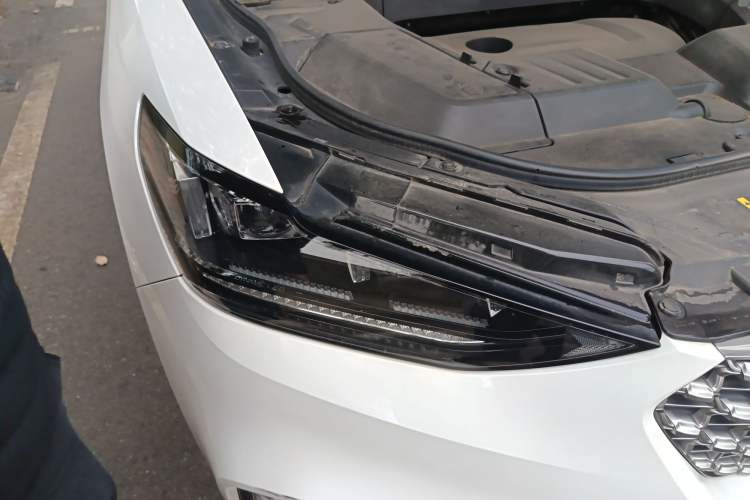 Used Wey VV6 2021 2.0T Two-Wheel Drive Smart Plus