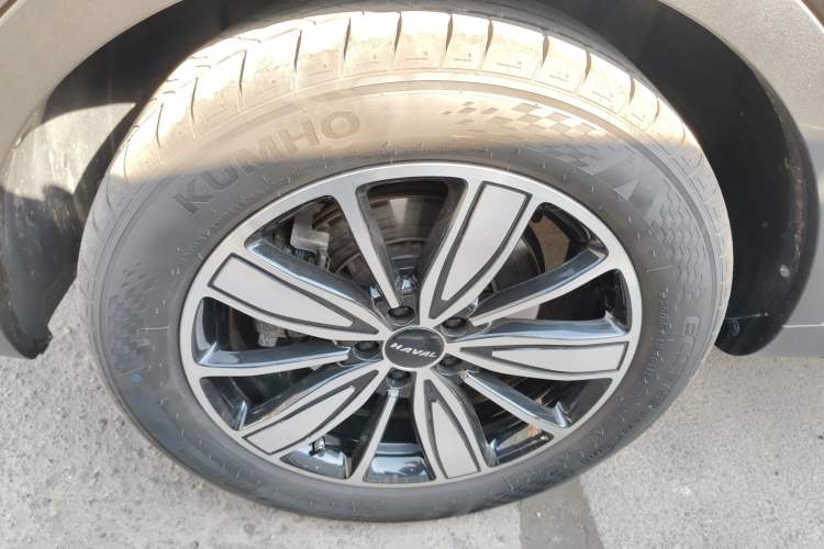 Used Haval H6 2023 National Trend Edition 1.5T Automatic Champion Version