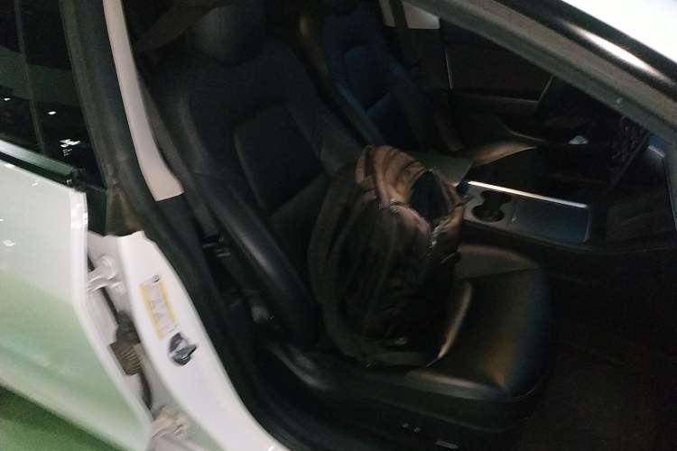 Used Tesla Model 3 2021 Standard Range Rear-Drive Upgraded Version
