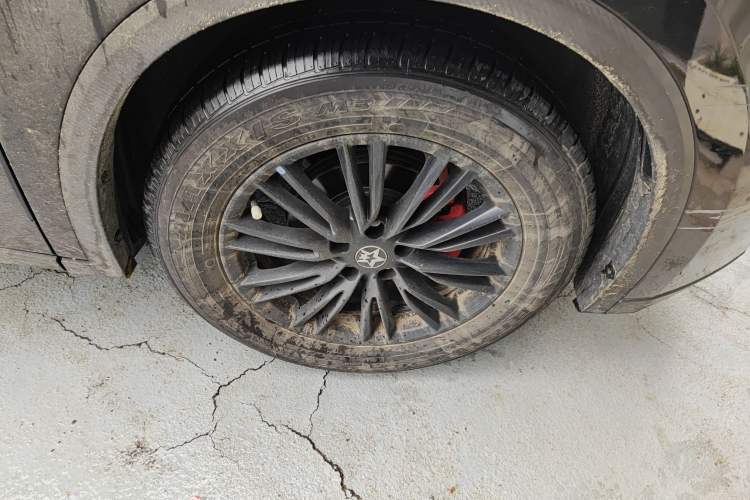 Used Venucia V 2022 260T Black Horse Edition · Idol
