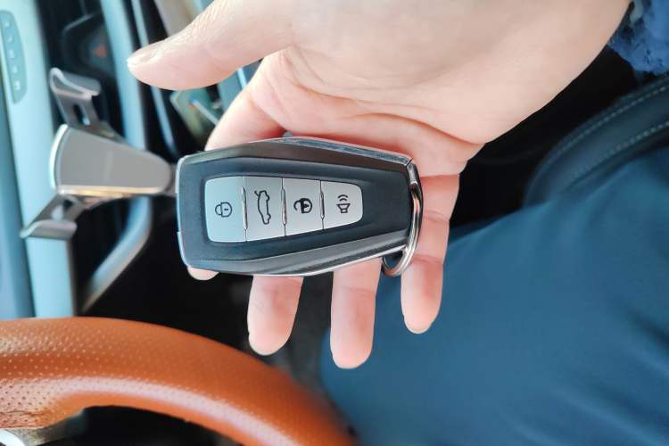 Used Livan Maple 80V 2021 Easy-Drive Version Lithium-Ion
