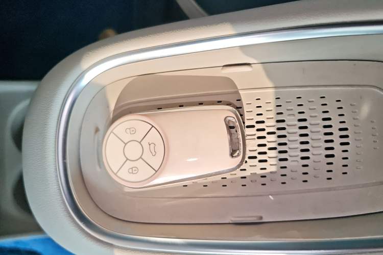 Used ORA Good Cat 2023 401 km Standard Range Luxury Version Lithium Iron Phosphate
