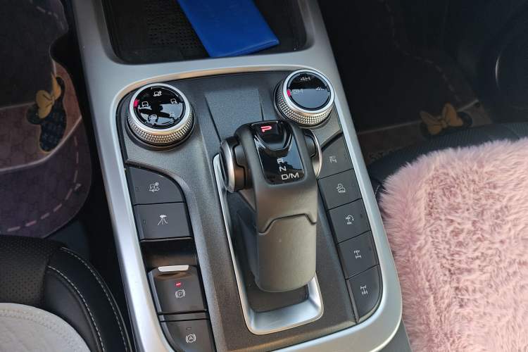 Used Tank 300 2024 2.0T Conqueror
