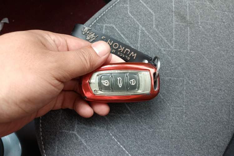 Used Geely Galaxy Panda 2024 Panda Mini 200km Endurance Bear Vehicle Key