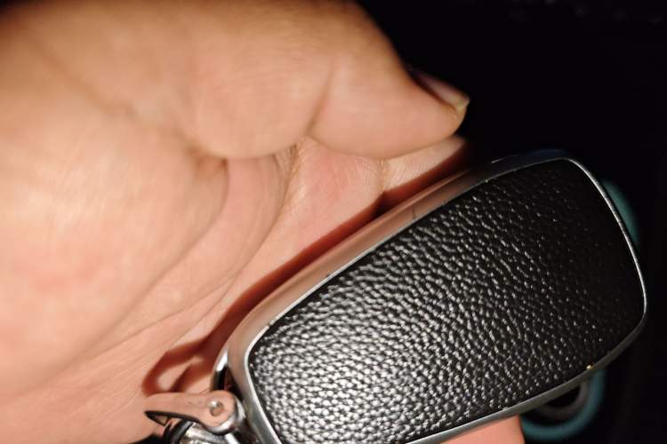 Used Chery Little Ant 2021 200 000-Yuan Ant Fan Edition Oxygen Version Lithium-Ion Battery 301 km