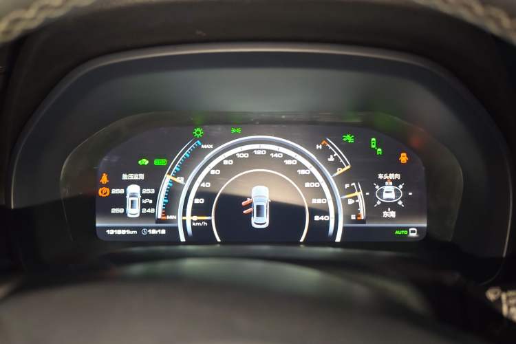 Used Wey P8 2018 2.0T Flagship Model
