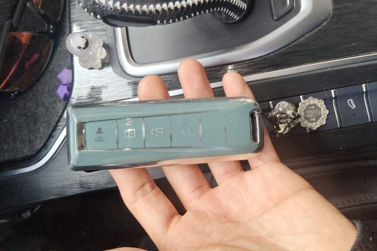 Used Wey VV7 New Energy 2020 PHEV 2.0T Flagship Model Vehicle Key