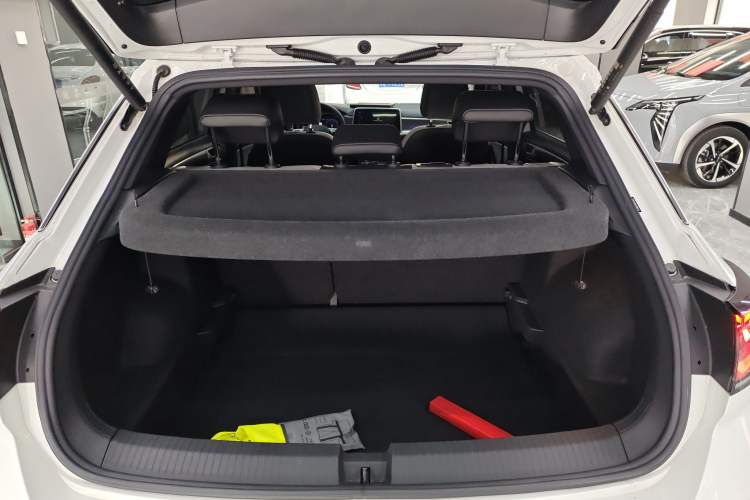 Used Volkswagen T-ROC 2024 300TSI DSG Two-Wheel-Drive Chen Guang Edition
