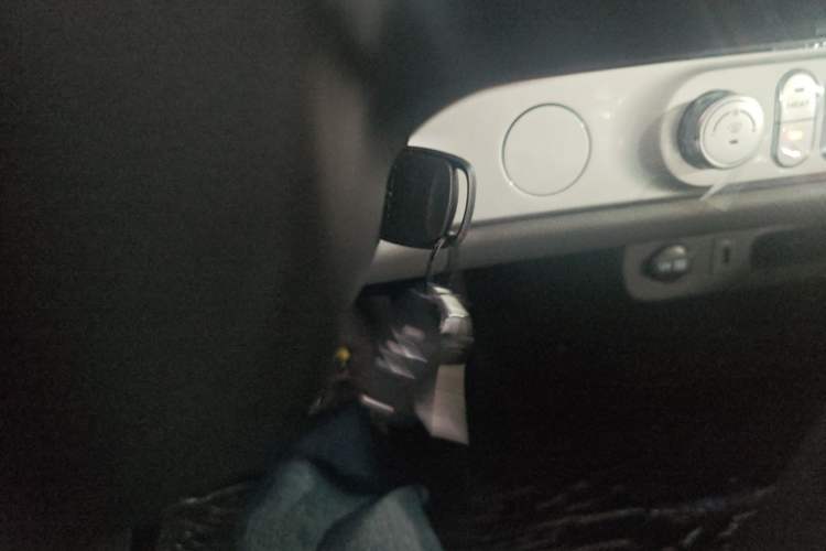 Used Qiyuan Lumin 2025 205 km Xiangqin Version
