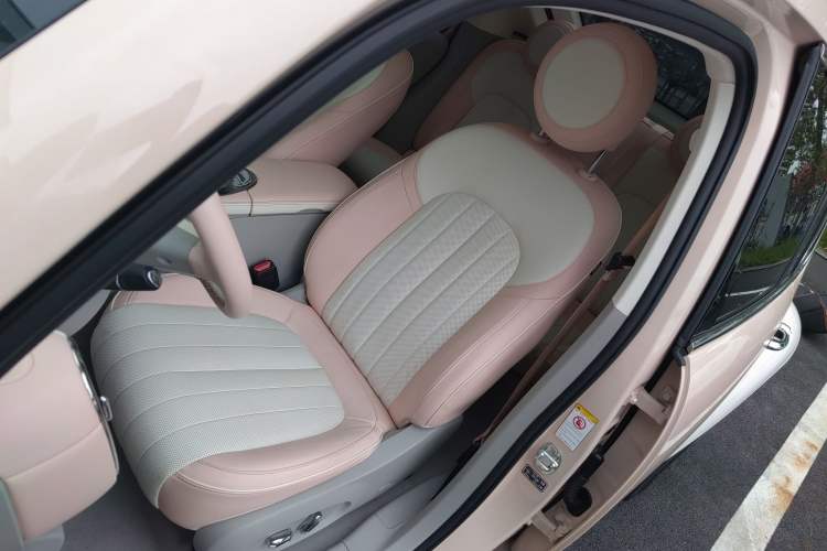 Used ORA Ballet Cat 2023 401 km Luxury Version
